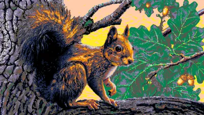 image of the Pixel graphic Got Nuts by Elko 